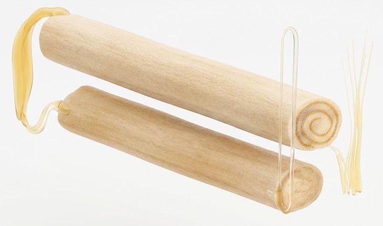 Wood stakes